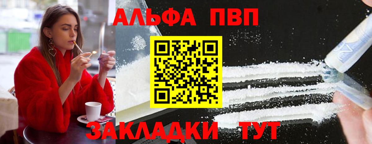 Альфа ПВП СК Мурманск
