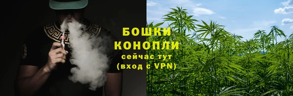 трава Балахна