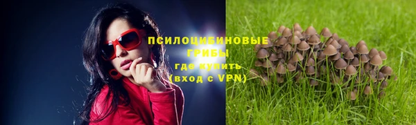 дурь Балабаново