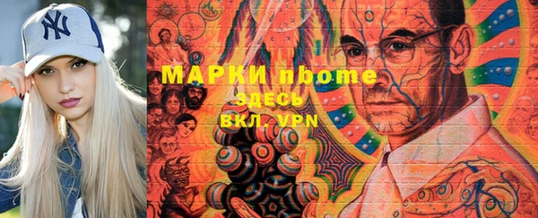 шишки Арсеньев