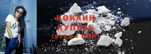 шишки Арсеньев