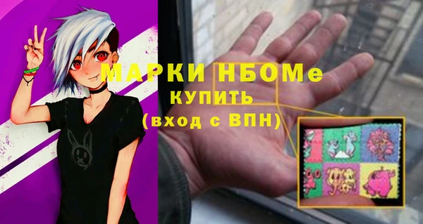 шишки Арсеньев