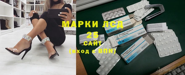 шишки Арсеньев