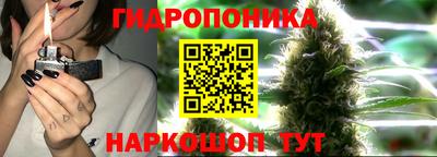 jwh Гусев