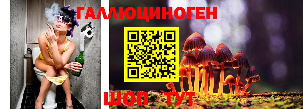 цена наркотик  Галлюциногенные грибы Cubensis  Галлюциногенные грибы прущие грибы  Вход с VPN  Мурманск 